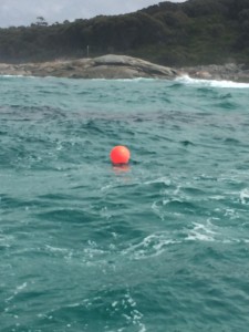 The Anmaropa wreck at the mouth of Georges Bay is marked by a pink buoy.